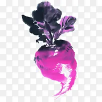 手绘紫萝卜