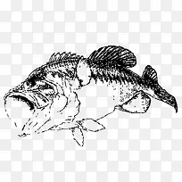 png黑白鱼