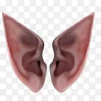 精灵耳朵