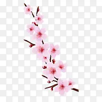 粉色桃花小说封面