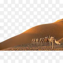 沙漠骆驼免抠装饰素材