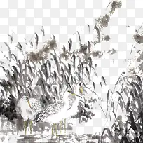 芦苇荡边的两只白鹅水墨画