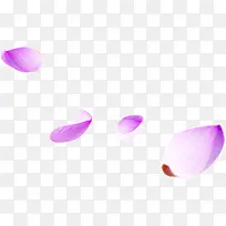 紫色漂浮花装饰元素