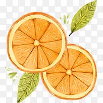 橙色橙子切片矢量图