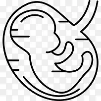 胎儿图标