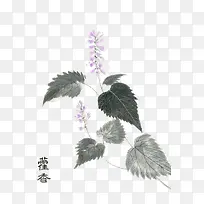 手绘中医中药素材