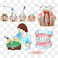 牙医医疗插图