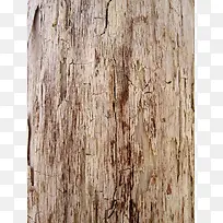 腐烂的木头背景