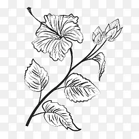 手绘插图树枝叶花朵
