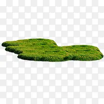 绿色景观草坪装饰