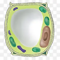 绿色医学细胞图形