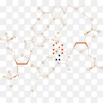 矢量图化学分子结构图