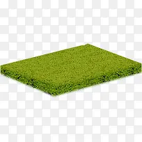 绿色草坪景观装饰