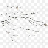 高清手绘摄影有雪花的树枝