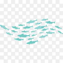 蓝色游动大海鱼群