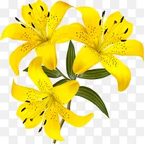 黄色花