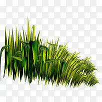 茂盛生长的小草草本植物立绘
