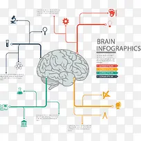 PPT设计大脑信息图