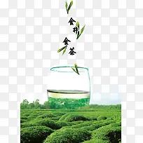 绿茶茶叶素材背景