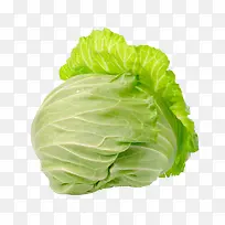 平包菜高清图片