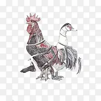 公鸡和鸭子创意插画设计
