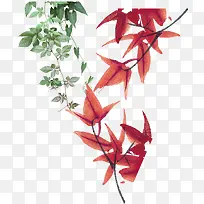 牵牛花树藤和草莓枝
