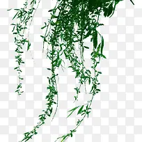 创意绿色柳树飘扬的枝条
