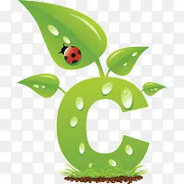 字母C