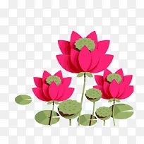 绘图荷花卡通