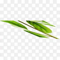 创意扁平风格绿色的竹叶造型