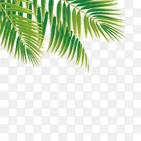 绿色热带植物卡通插画