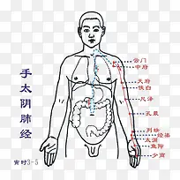 手太阴肺经