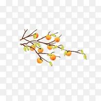 橘子树秋天黄色落叶树枝