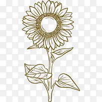 手绘素描向日葵花朵