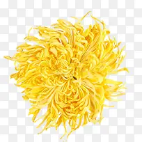 俯拍一朵黄色金丝菊