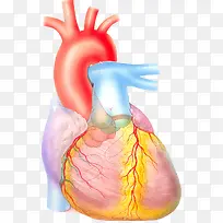 心血管系统医疗图片