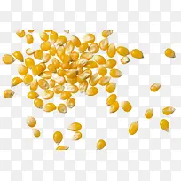 实物熟玉米粒