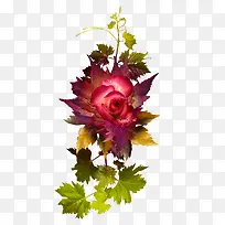 红色鲜花
