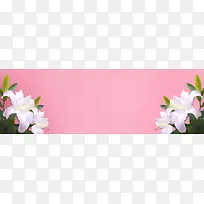 女士鞋淘宝百合唯美背景banner