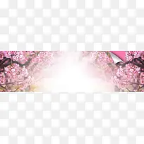 淘宝女鞋唯美背景banner