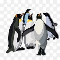 站在一起的南极企鹅
