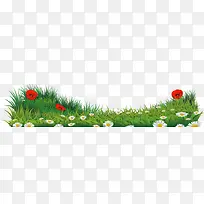 草地和花