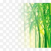 春季景观公园植物竹子