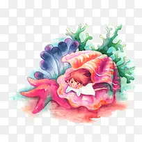 深海中的贝壳素材