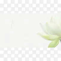 化妆品绿色植物首页