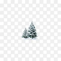 雪中的松树