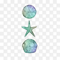 海星和贝壳