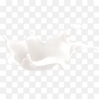 喷溅的牛奶