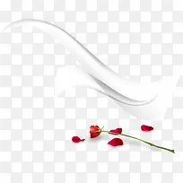 韩国时尚花纹装饰单支玫瑰