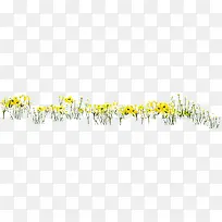 黄色春季向日葵花海